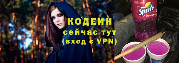 стафф Каменка