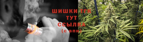 стафф Каменка