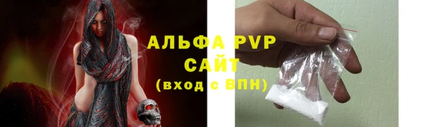 стафф Каменка