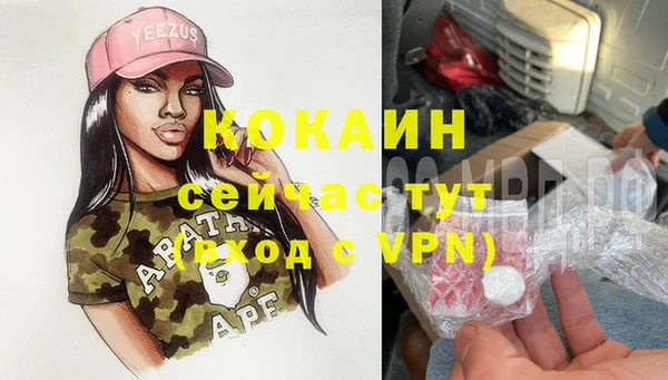 стафф Каменка