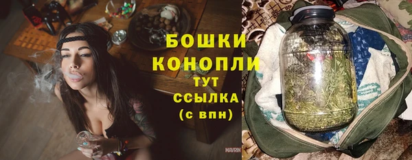 стафф Каменка